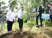 Bey Machmudin Awali Kerja 2025 dengan Tanam Pohon, 24 Ribu Bibit Produktif di Cikanyere Harus Dijaga