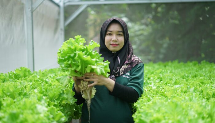 Sharp Hydro Heroes Sukses Ciptakan Petani Muda Berkelanjutan