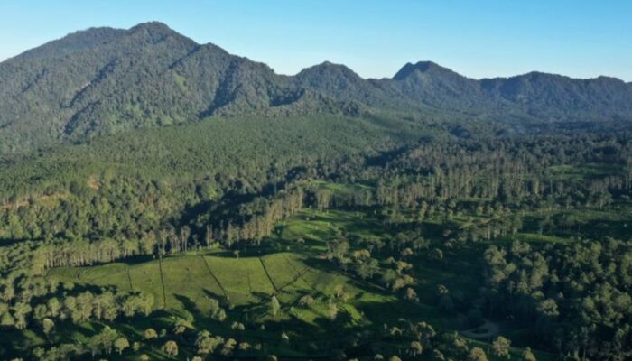 Satpol-PP Jawa Barat Segel Proyek Wisata Eiger Camp: Sorotan Izin dan Dampak Lingkungan
