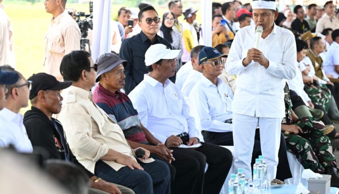 Gubernur Dedi Mulyadi Dampingi Presiden Prabowo Panen Raya Padi Serentak di Majalengka