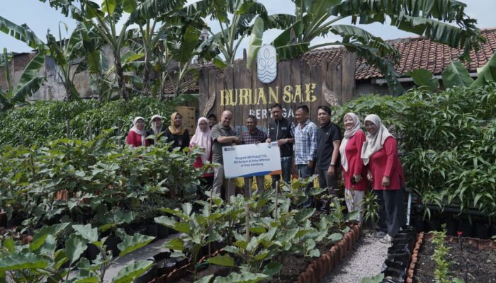 Program BRI Peduli TJSL Dukung Urban Farming melalui BRInita di Bandung