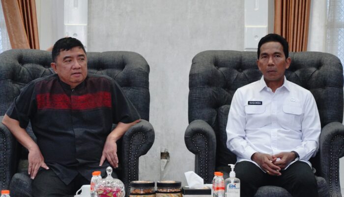 Sekjen Ombudsman RI Kunjungi Garut, Apresiasi Peningkatan Pelayanan Publik di MPP