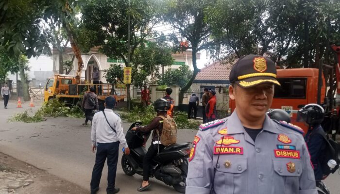 Pemangkasan Pohon di Jalan Kerkof Demi Optimalisasi PJU dan Keselamatan Warga