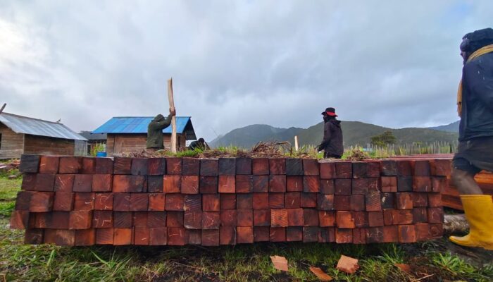 Pengantaran Kayu Besi untuk Pembangunan Rumah Pastori Jemaat Sejahtera Pougo