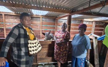 Dinsos Deiyai Terapkan Skema Pemberdayaan Berputar