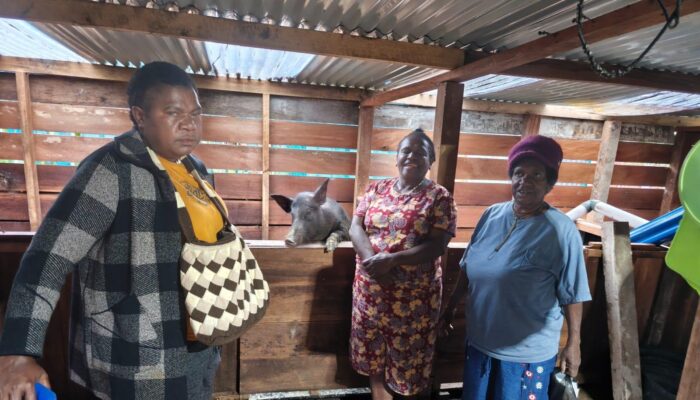 Dinsos Deiyai Terapkan Skema Pemberdayaan Berputar