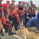 Pemuda Pancasila Deli Serdang Sembelih 9 Hewan Kurban