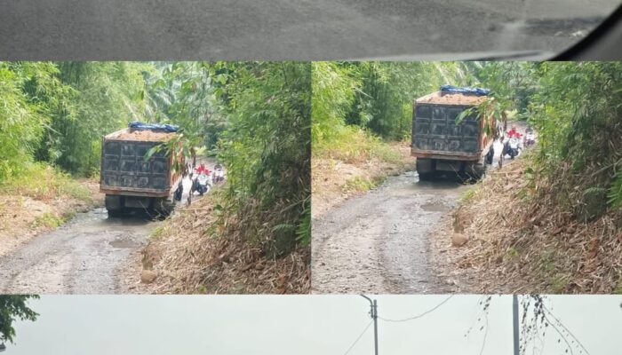 Proyek PIC Diduga Gunakan Material Tanah Timbun Ilegal, Dirkrimsus Poldasu Bungkam
