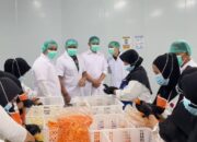 Dankodiklatad Tinjau Pilot Project AFCC di Cianjur, Perkuat Ketahanan Pangan dan Rantai Pasok Program MBG