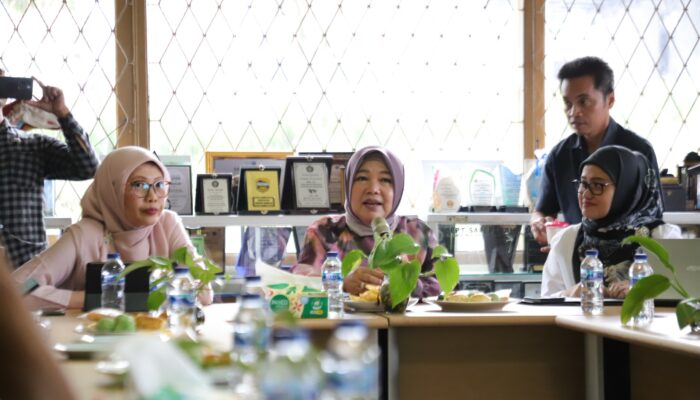 Komisi II DPRD Jabar Dorong Peningkatan Kualitas Susu Murni dan Pengembangan Sapi Perah di Cikole