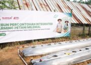 Ubah Citra Bertani Jadi Keren, Kabupaten Tangerang Gencarkan Sistem Integrated Farming