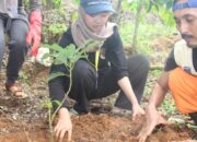 Lindungi Sumber Mata Air di Kawasan Konservasi, Petani Bareng Mahasiswa Tanam Bibit Kopi