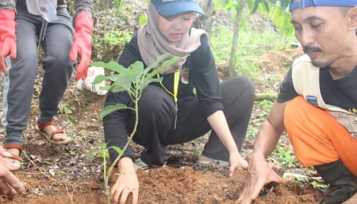 Lindungi Sumber Mata Air di Kawasan Konservasi, Petani Bareng Mahasiswa Tanam Bibit Kopi