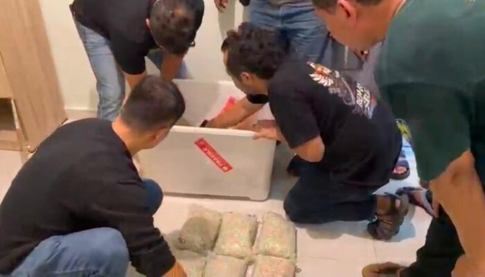 Gencar Brantas Narkoba, Gudang Narkoba Dibongkar Ditresnarkoba Polda Riau
