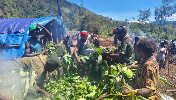 Klasis Persiapan Ekadide Gelar Syukuran Dengan Tradisi Bakar Batu