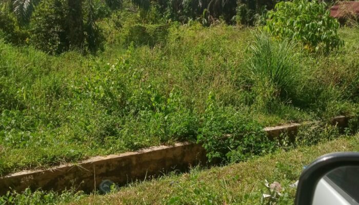 Dirikan Rumah Permanen Di Lahan Milik Almarhum And Halim Harahap Pasutri Dilaporkan Ke Poldasu
