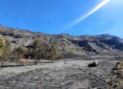Kementerian Pariwisata Tutup Sementara Wisata Bromo Demi Keselamatan