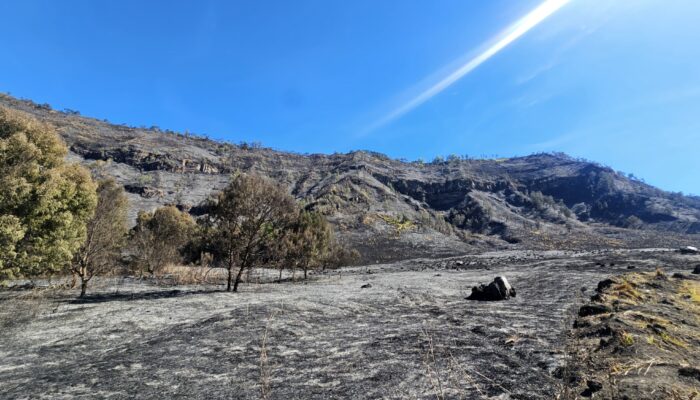 Kementerian Pariwisata Tutup Sementara Wisata Bromo Demi Keselamatan