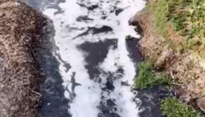 Pemeriksaan Industri di Padalarang Terkait Pencemaran Sungai Cihaur