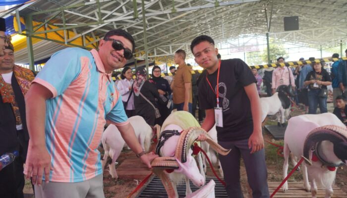 Bupati Garut Dorong Pengembangan Domba Garut untuk Perkuat Ekonomi Masyarakat