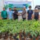 BMH Jabar Dukung Kemandirian Pesantren melalui Penanaman Bibit Alpukat dan Kopi