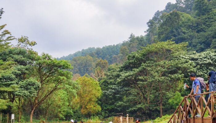 De Braga By Artotel Hadirkan The Urban Nature Retreat, Perpaduan Heritage Dan Alam Dalam Satu Perjalanan